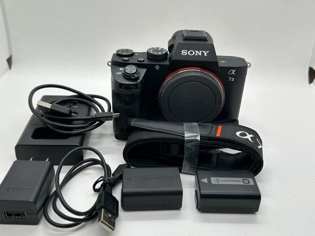 【mico】ソニー SONY α7 Ⅱ (ショット数20705枚)