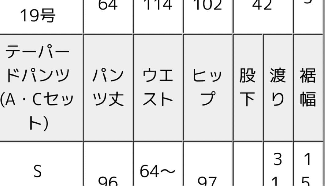 大きいサイズ　スーツ　レディース　4点セット