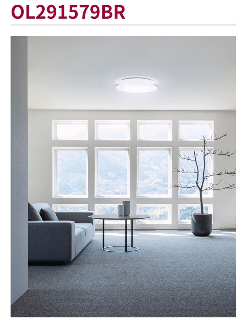 【新品未使品】ODELIC シーリングライト OL291579BR 〜12畳