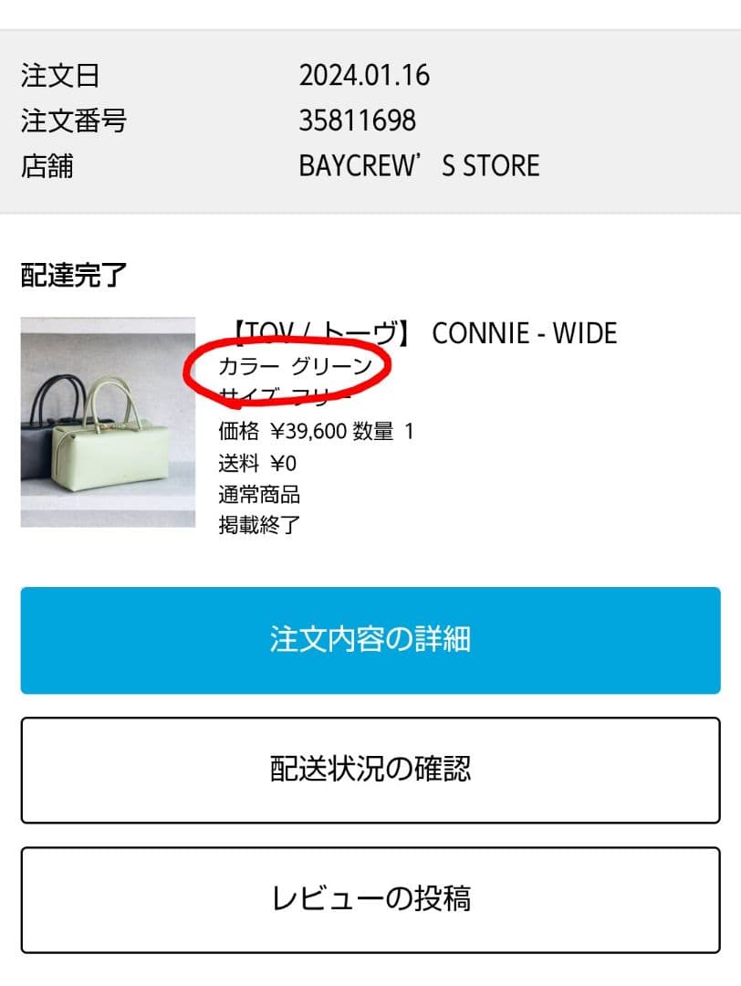 TOV ミントグリーン ハンドバッグ