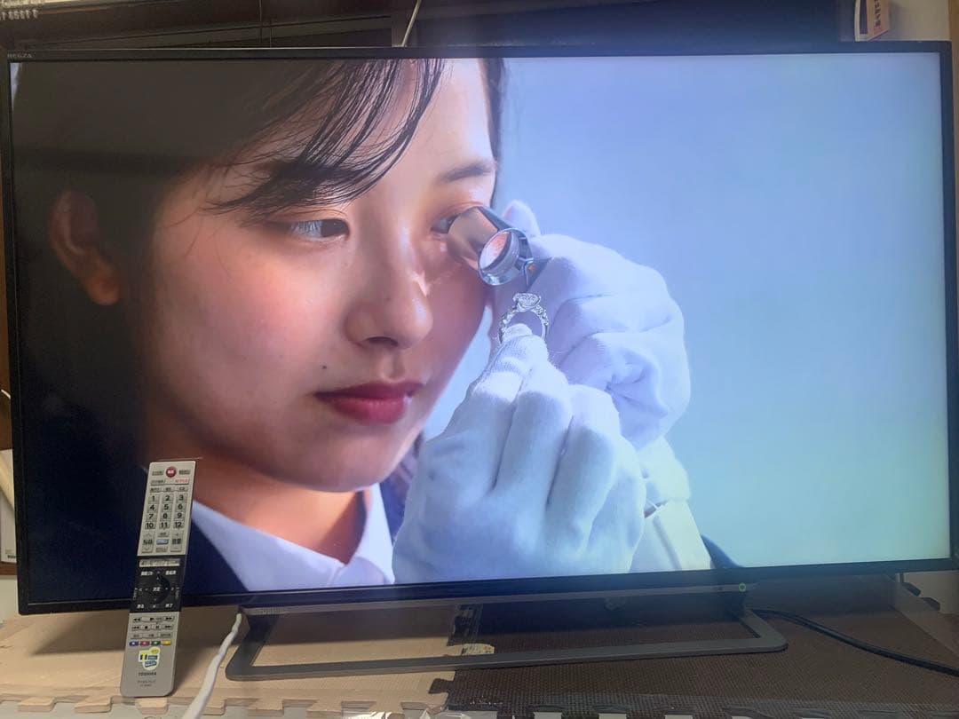 東芝REGZA 液晶テレビ49G20X