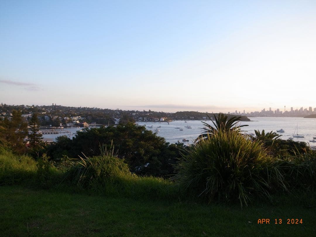 ［早い者勝ち］RICOH GR DIGITAL III、純正ケース・バッテリー付