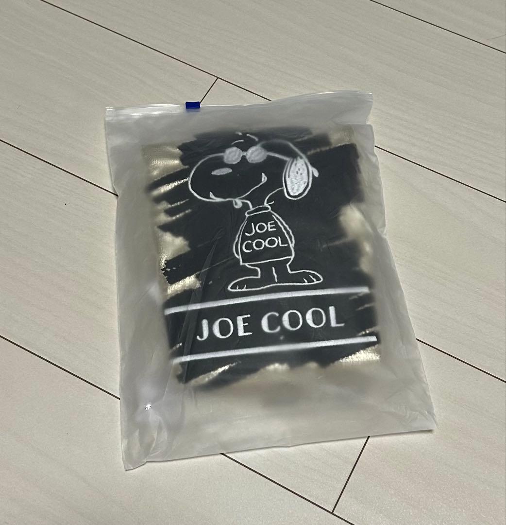 CoCoボールアンドチェーン 名古屋限定 スヌーピー ゴールド シルバー