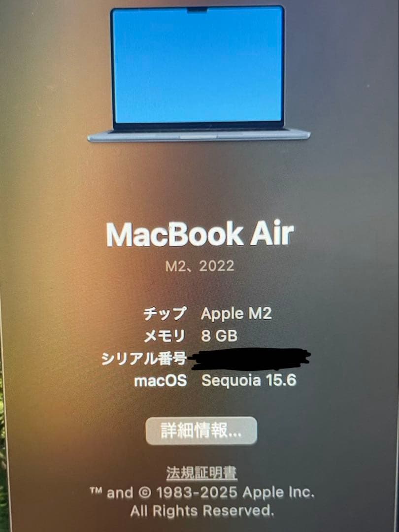 ジャンク Apple Macbook Air 2022 13.6インチ M2