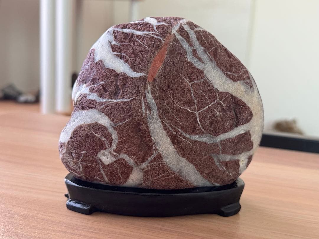 土岐石 雷光石 鑑賞石 天然石 水石 赤褐色と白の模様