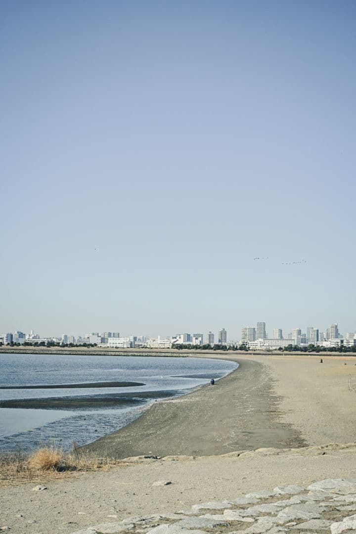 Nokton D35mm F1.2 Zマウント