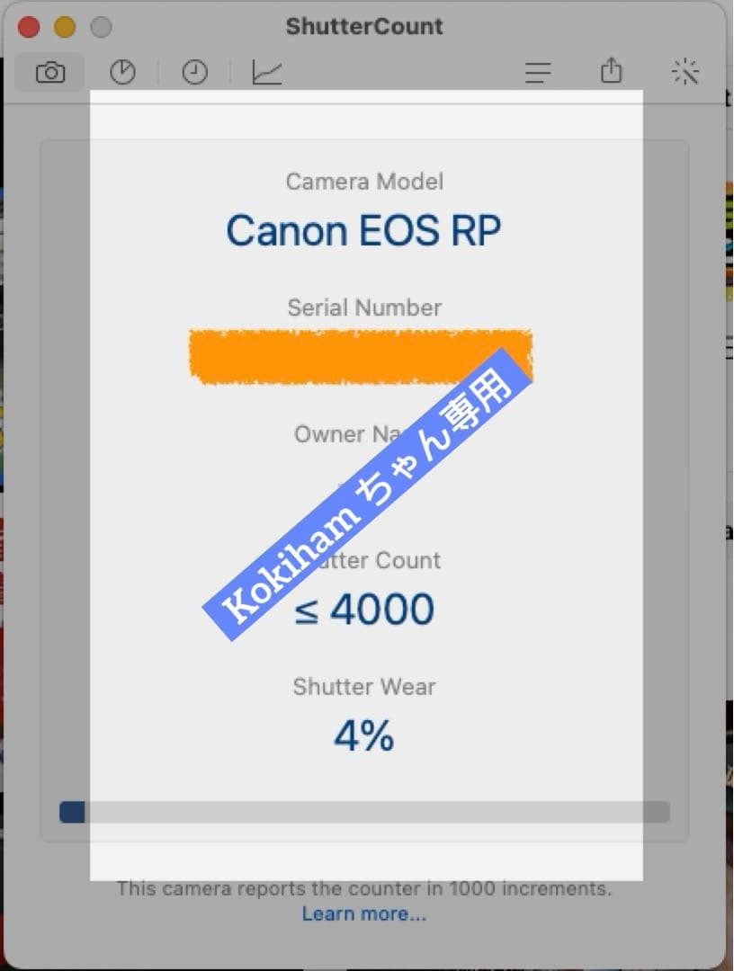 [美品 低シャッター回数]Canon EOS RP 本体