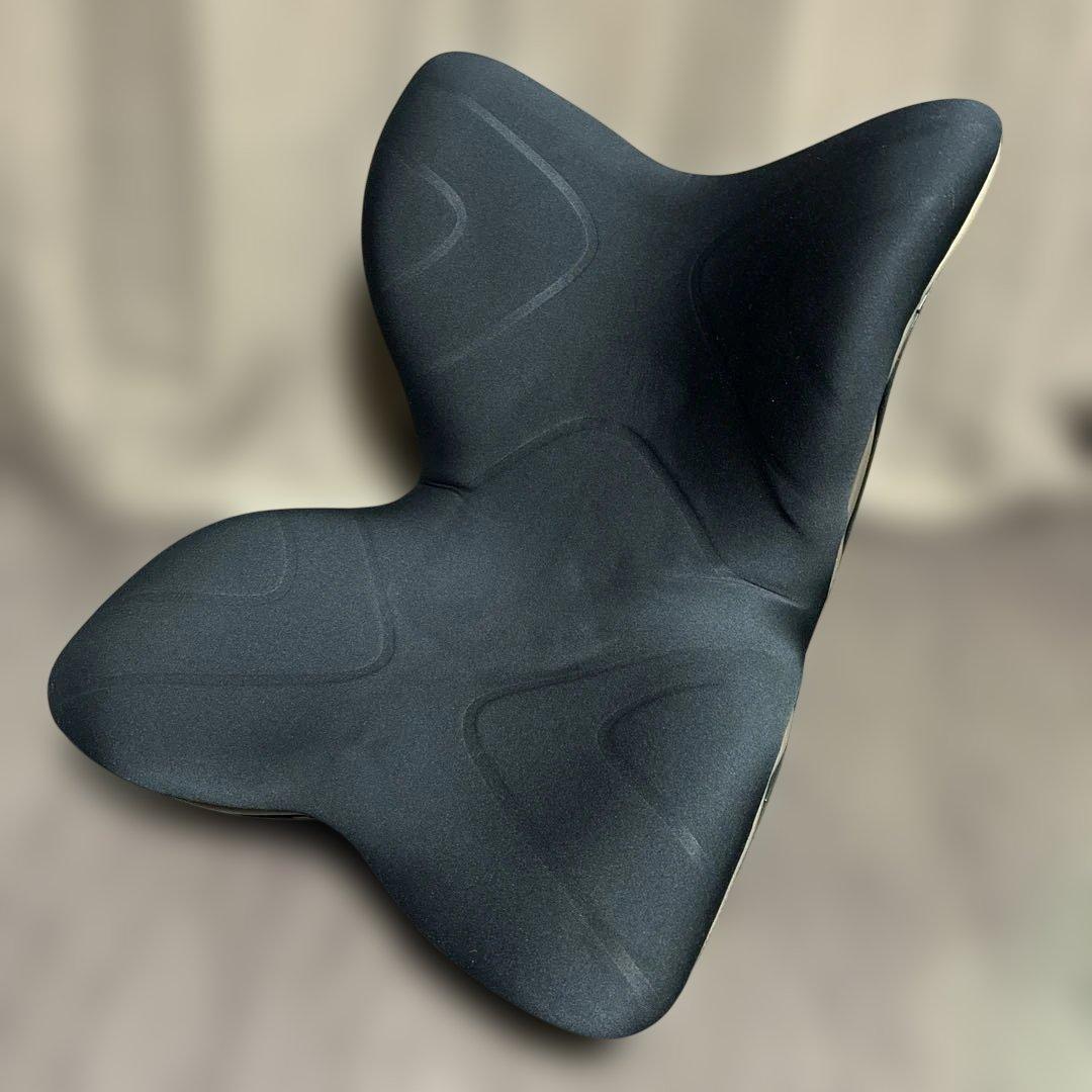 Style PREMIUM ブラック　正規品