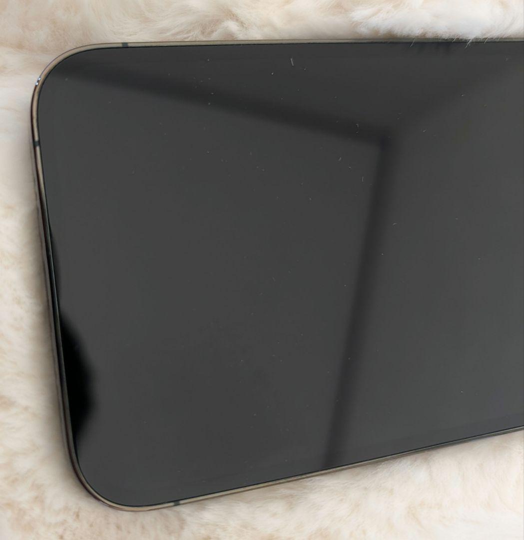 iPhone 13 Pro 256GB 超美品　おまけ付