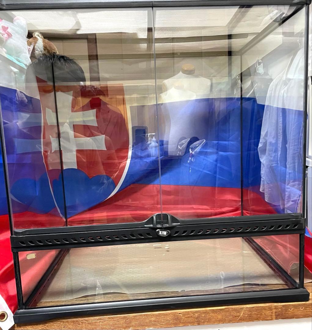 エキゾテラ　グラステラリウム6060