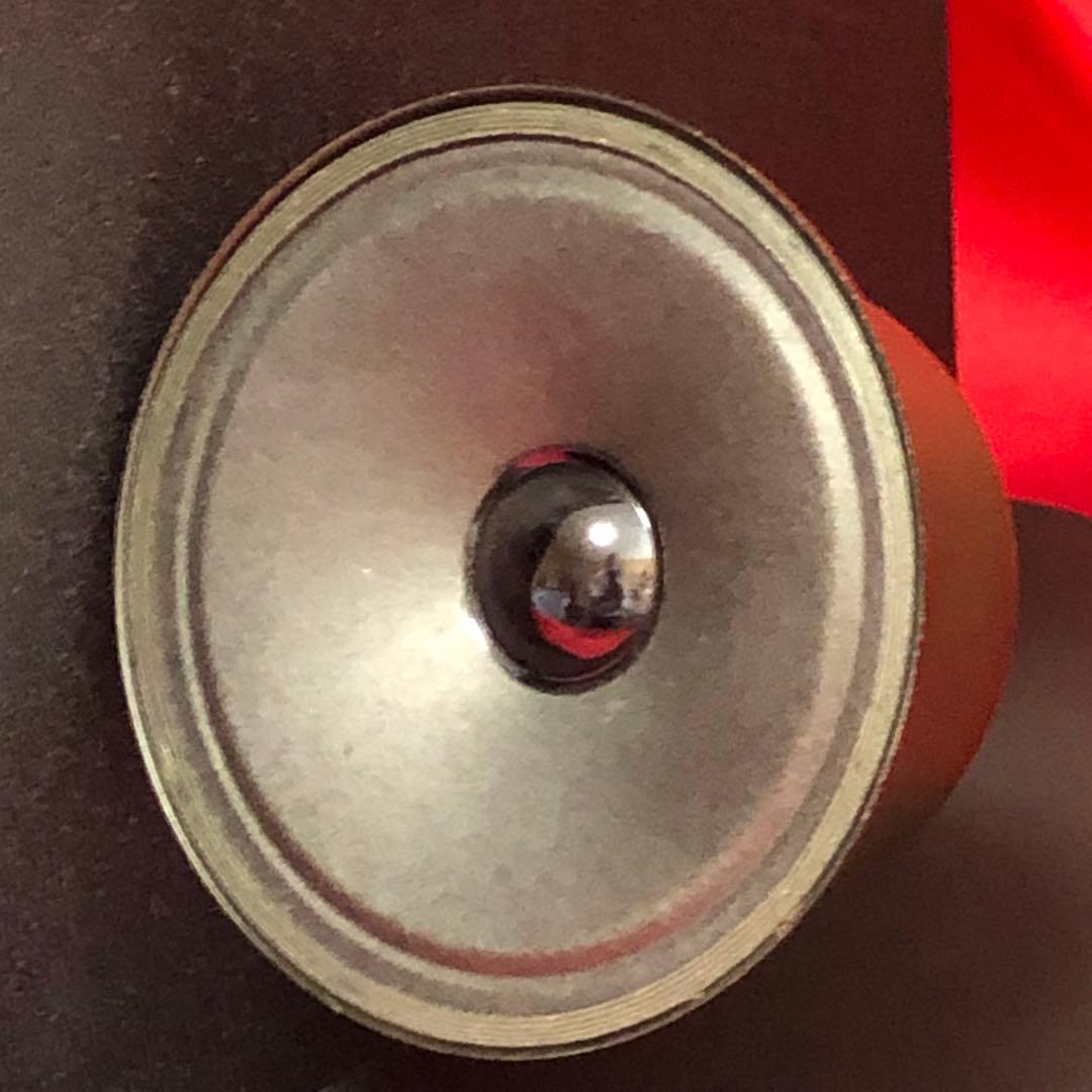 BOSE 301AVM スピーカー【美品】