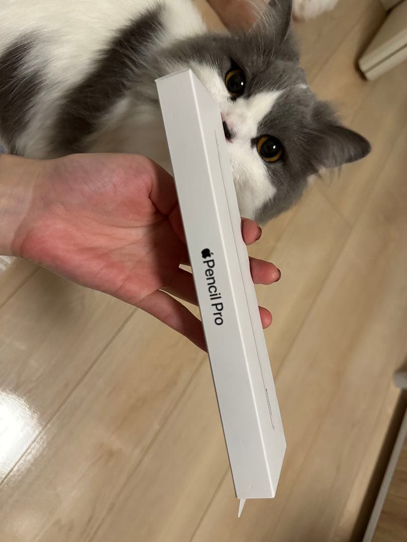 Apple Pencil Pro 間違えて購入してしまったため出品