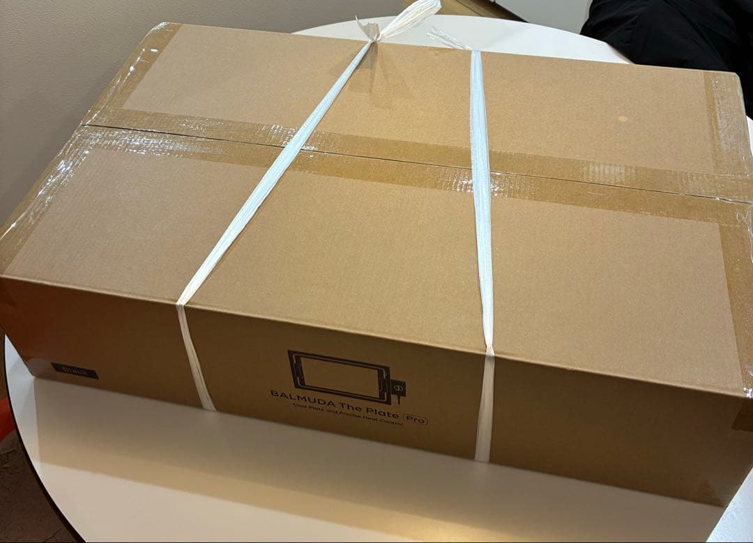 新品　BALMUDA The Plate Pro バルミューダ