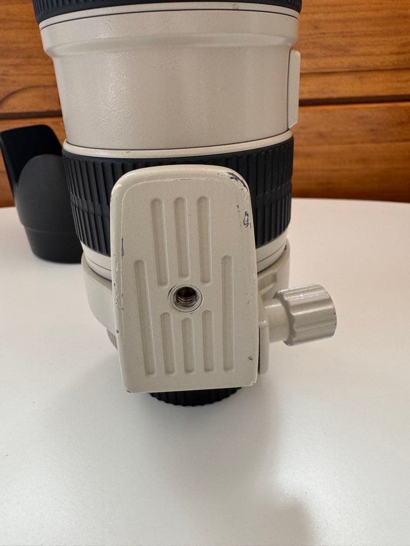 レンズ(ズーム) Canon EF 70-200mm f/2.8L IS II USM