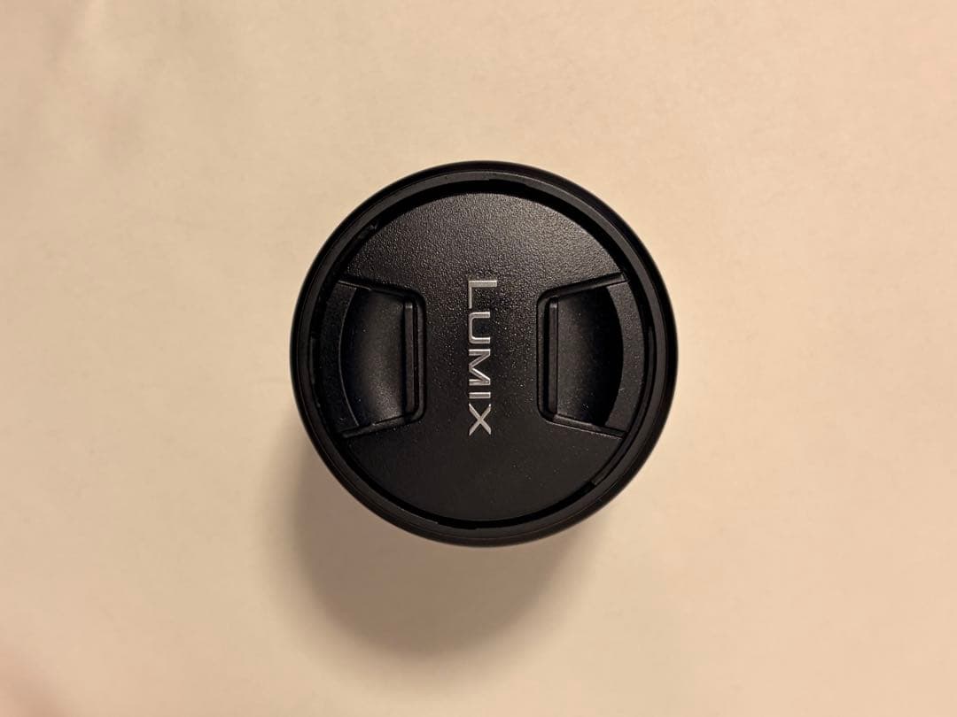 LUMIX DC-G100DW ミラーレスカメラ