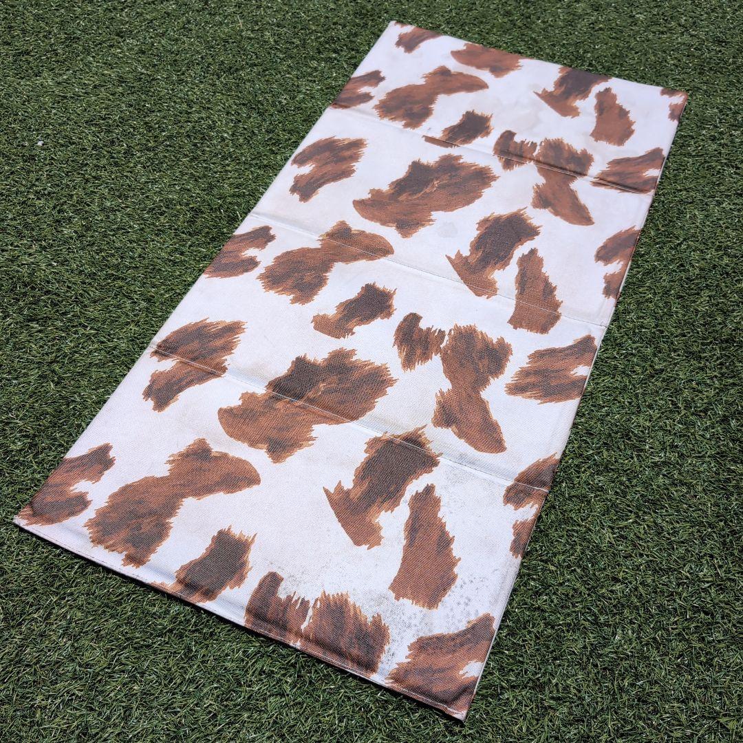 【限定品】Coleman キャリーカート アウトドアワゴン キャリーワゴン