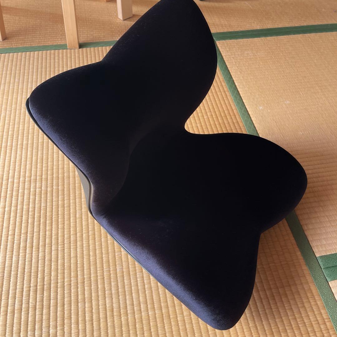 矯正用品・補助ベルト Style PREMIUM DX