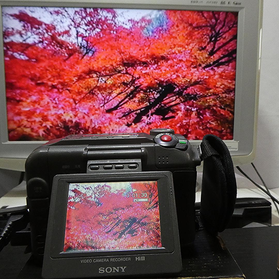 動作良好ソニー CCD-SC55 Video.Hi8デジタルビデオカメラDVD化