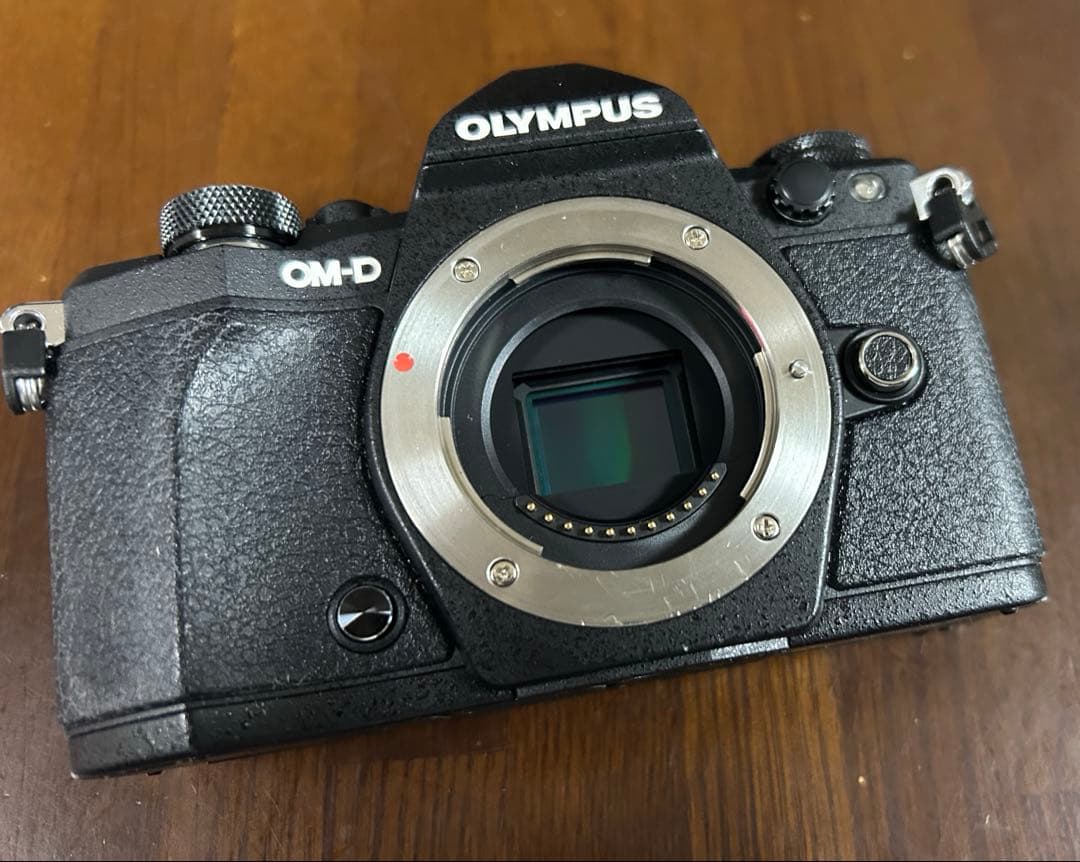 OLYMPUS OM-D E-M5 MarkⅡ ブラック 本体のみ