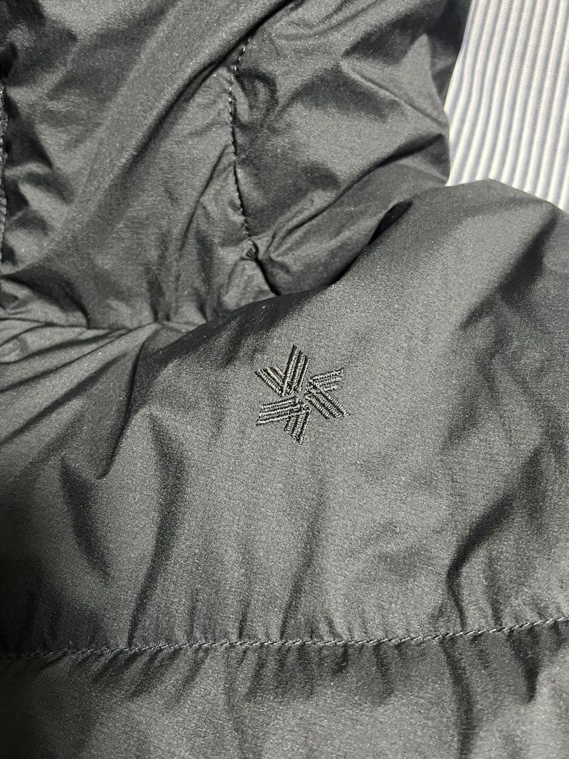 フレームワーク別注GOLDWINダウンコート