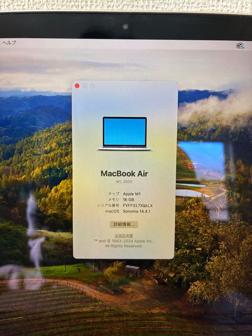 MacBook本体 Apple MacBook Air M1 16G 1TB