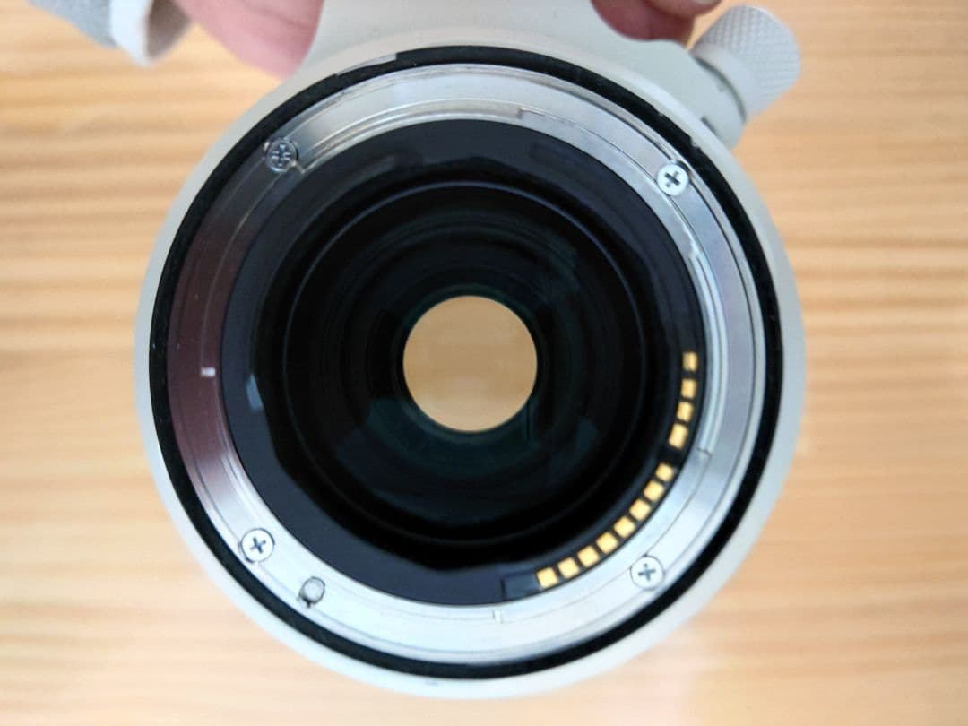 Canon キャノン RF 70-200mm F2.8 L IS USM