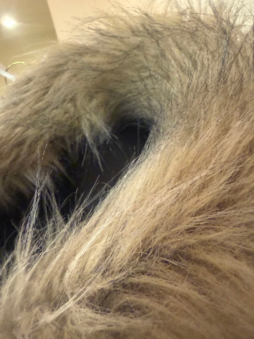 THE NORTH FACE アンタークティカパーカ XLブラック 正規品