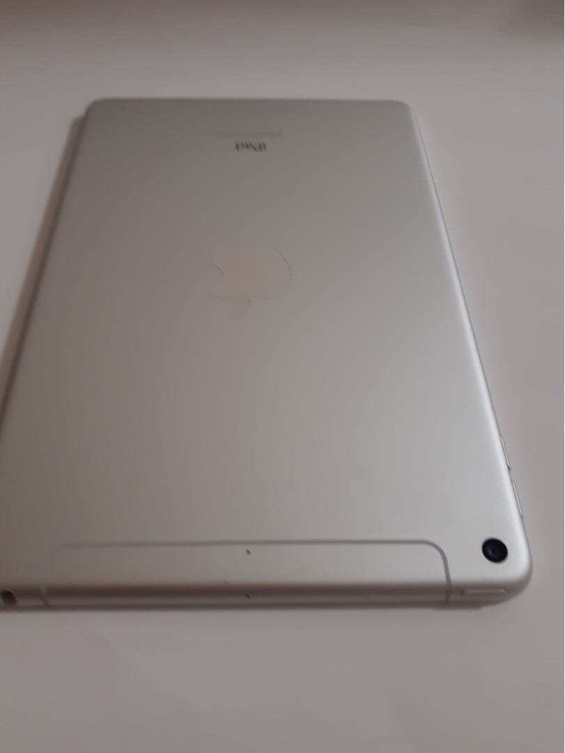 iPad mini第五世代 256GBシルバー Wi-Fi + cellular