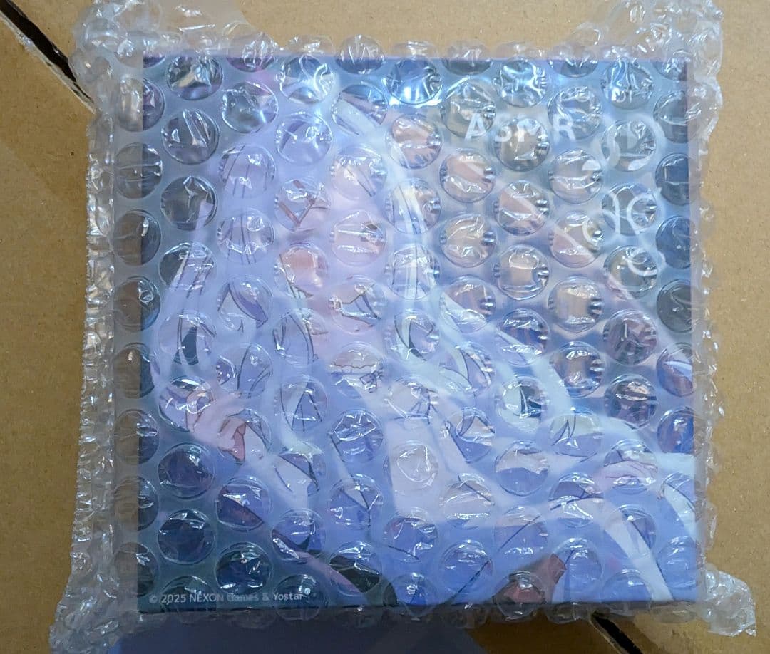 COTSUBU for ASMR 3D ブルーアーカイブ ヒナ クリアファイル付