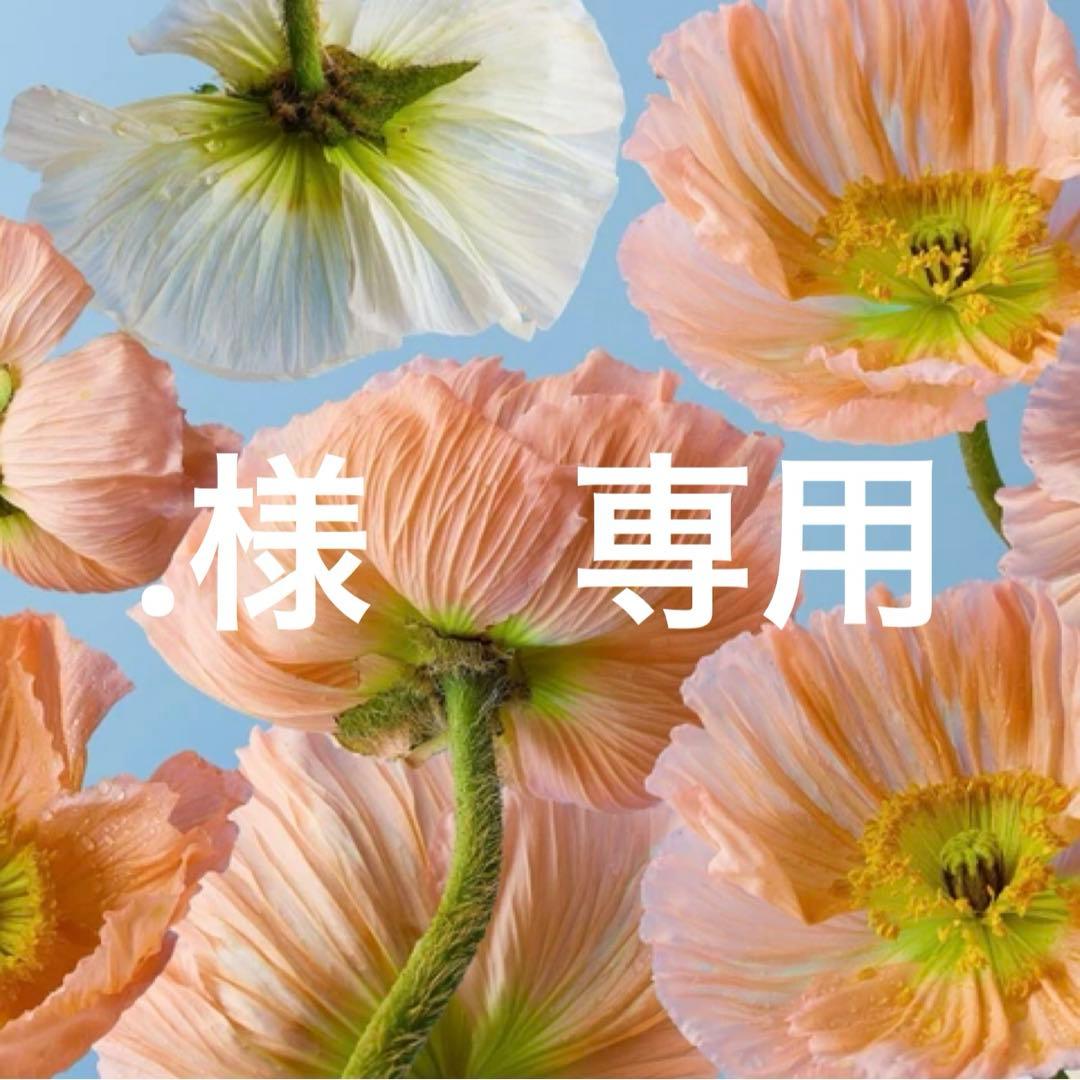 .　靴　翌日発送