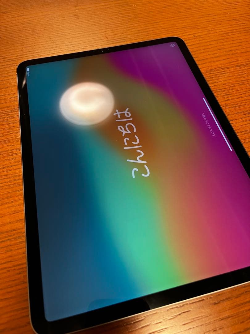 iPad Pro (11インチ) 512GB USBケーブル　USB電源アダプタ