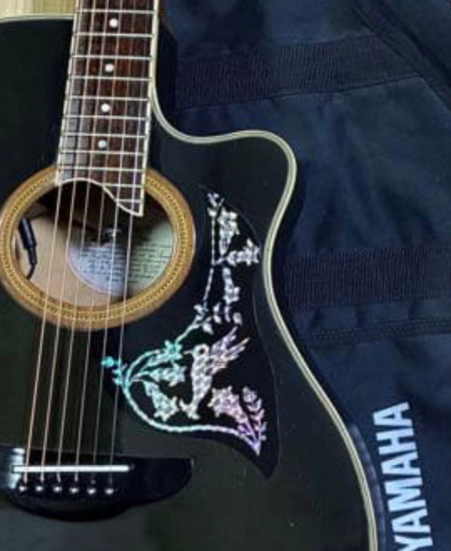 YAMAHA APX-8S エレアコ 長渕剛　アルフィー他