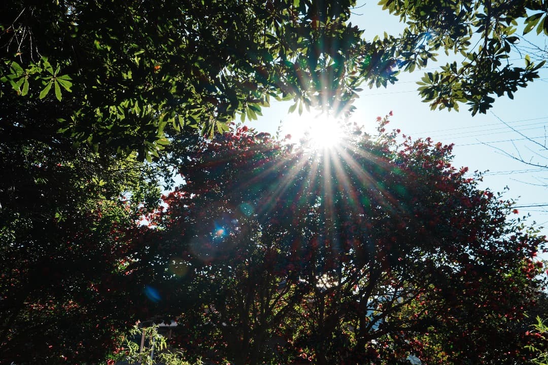 未使用級☆元1635GM所有プロが選んだTamron16-30 F2.8 G2