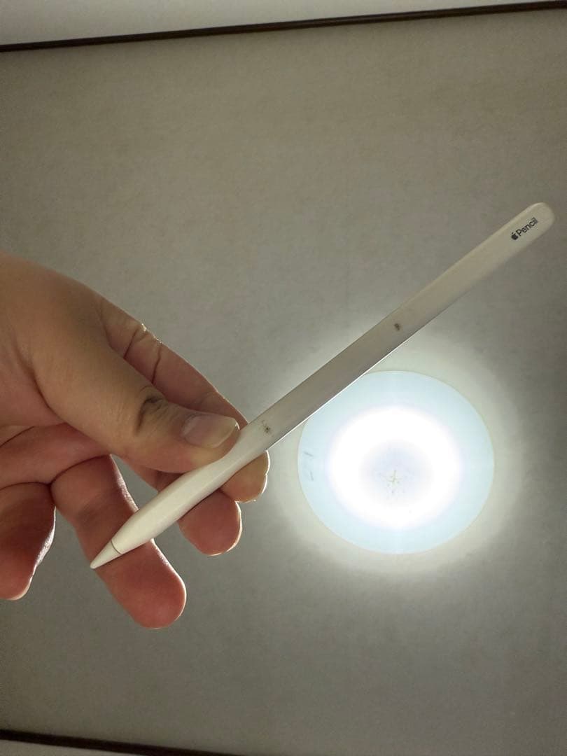 Apple iPad pro 12.9インチ wifi 256GB第3世代