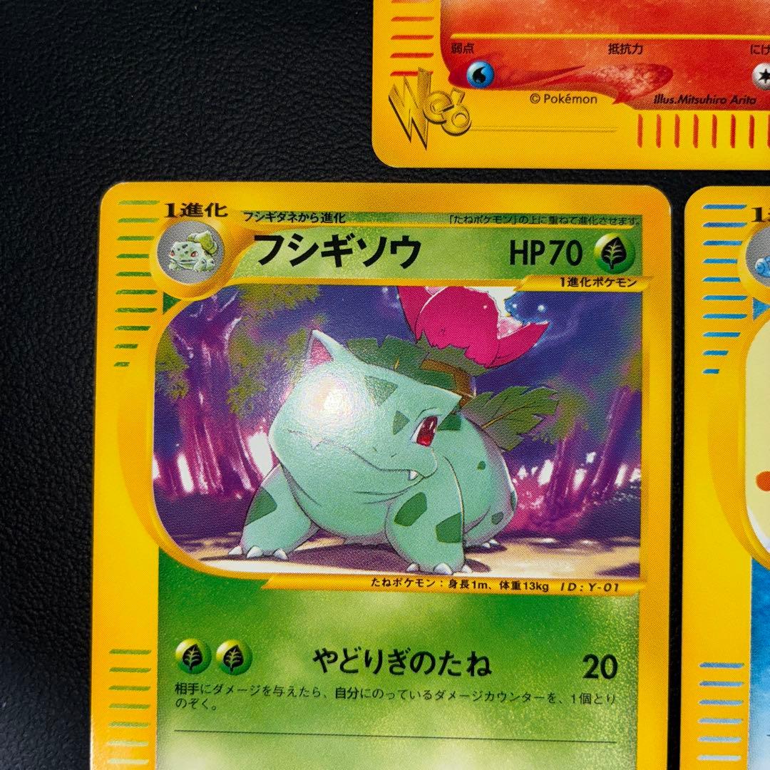 極美品　web eカード リザード　フシギソウ　カメール　御三家