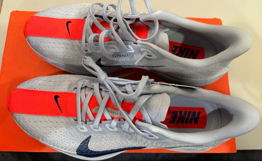 NIKE ペガサスプラス　ランニングシューズ　ブルーグレー　25.5㎝　H2