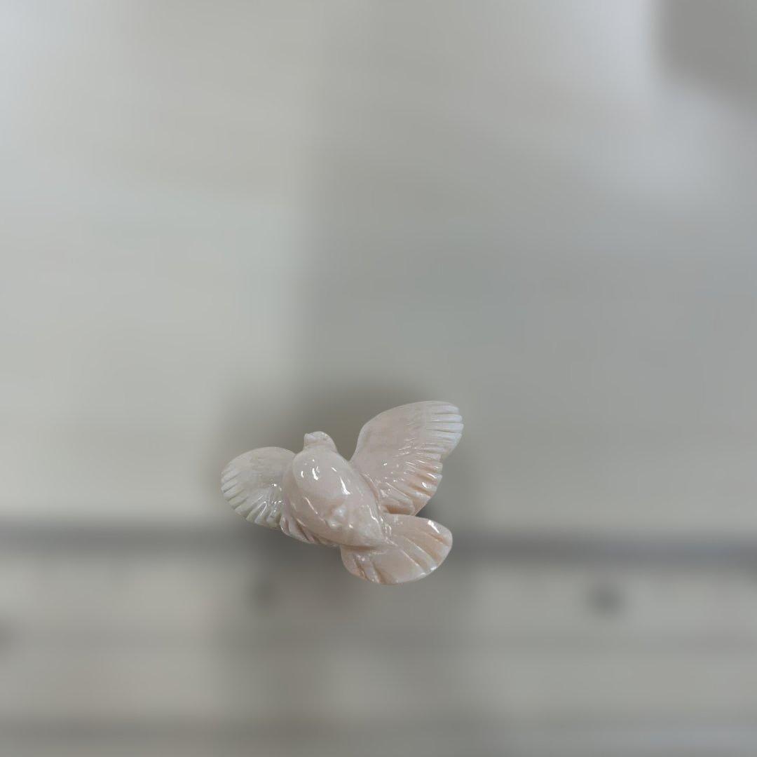 未使用　珊瑚　サンゴ　鳩の形状ブローチ ピンク珊瑚　イヤリング　淡いピンク