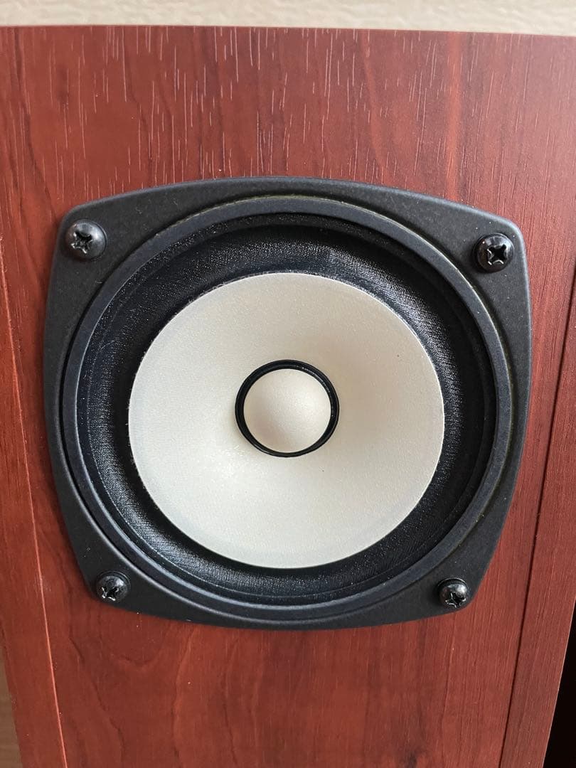 FOSTEX FE-103NV付P1000-BHバックロードホーンセット