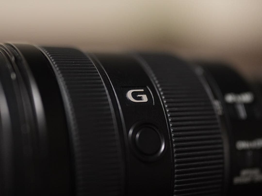 【最値下げ】Sony SEL24105G F4 G OSS+おまけ