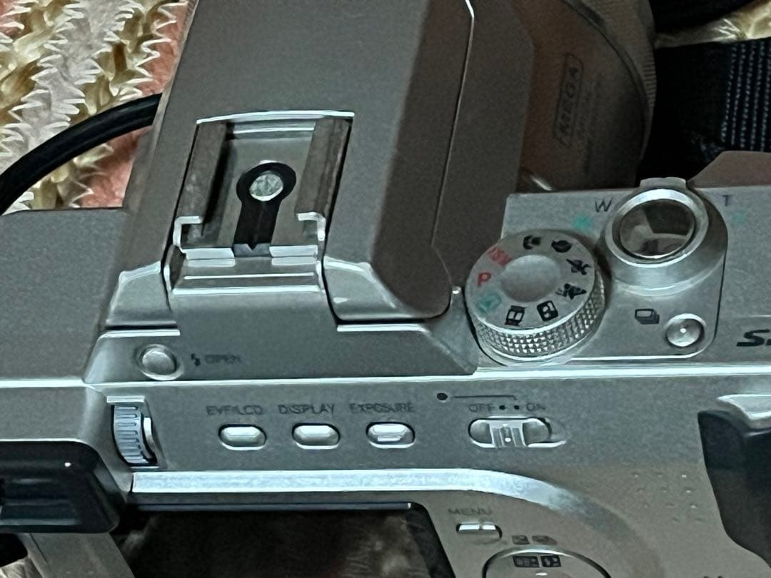 Panasonic LUMIX デジタル一眼レフ 本体と付属品DMC-FZ10