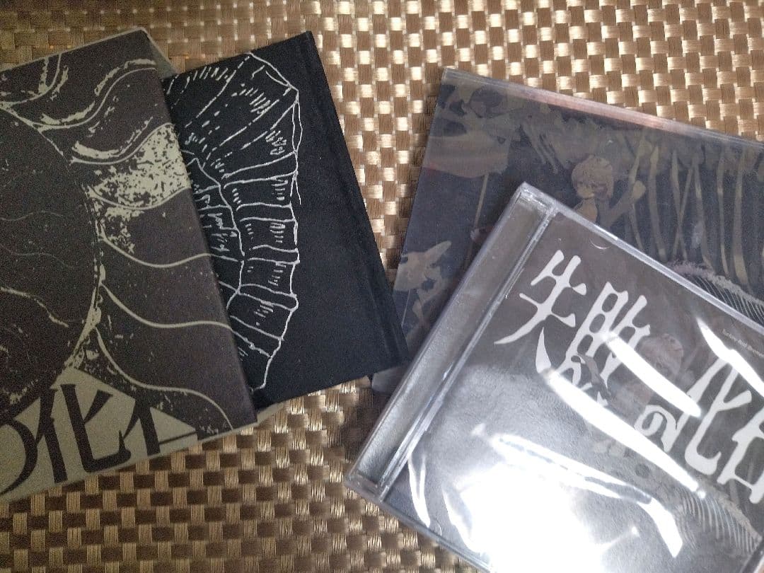 ナースロボ_タイプＴ 失敗の化石 アルバム 松尾粥