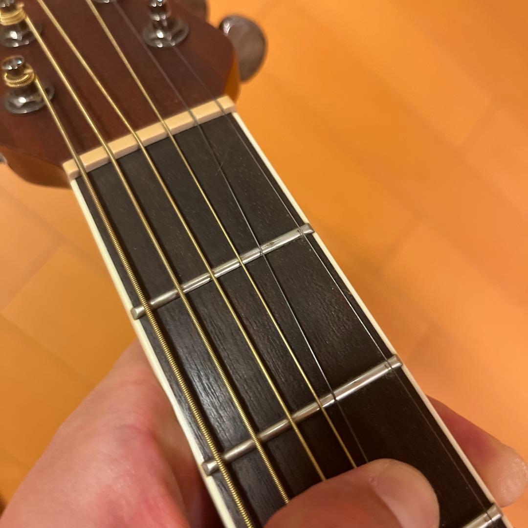 Ovation Applause AE44IIP-TBKF 島村楽器　限定モデル