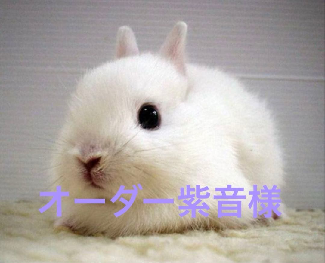 手描きイラスト ハンドメイドイラスト ファンアート