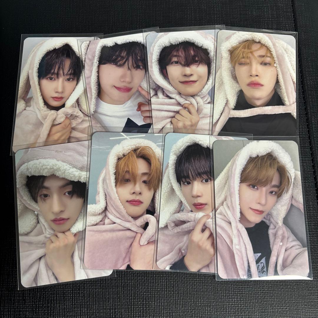 ALD1 Euphoria MAKESTAR うさぎブランケット 8種 コンプ