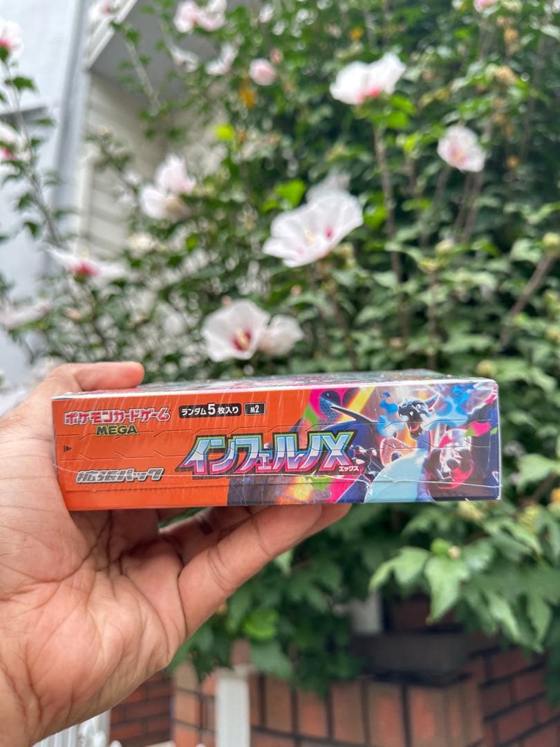 ポケモン インフェルノX メガ進化