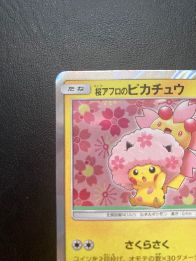 桜アフロのピカチュウ：ポケモンセンタートウキョーDX オープン記念 にほんばれ…