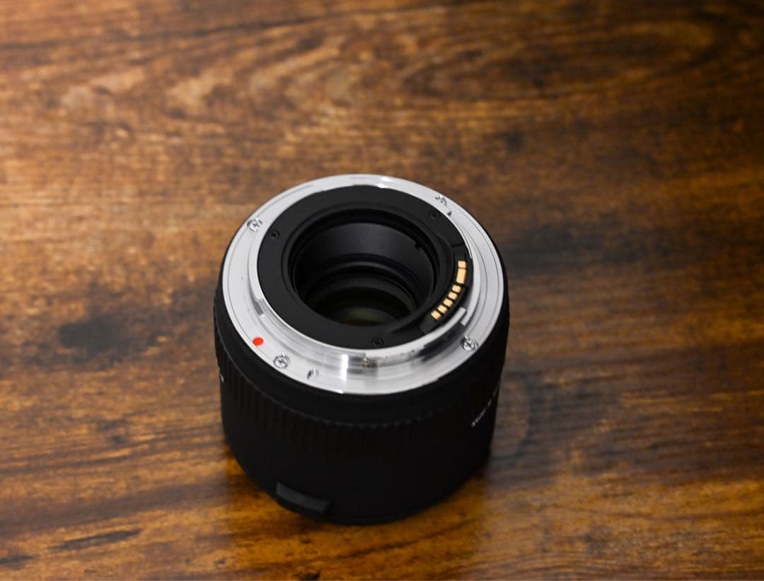 （極美品）APO TELE CONVERTER 1.4x/2.0x EX DG