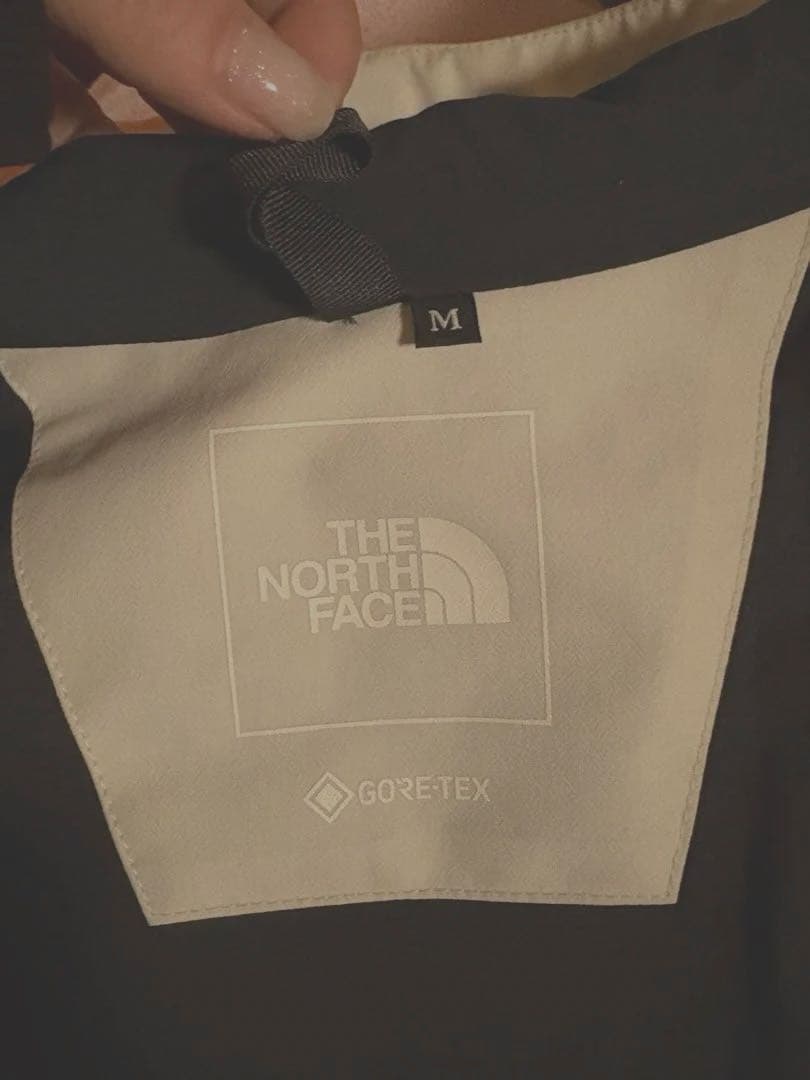 The North Face マウンテンジャケット　Мサイズ　ティングレー