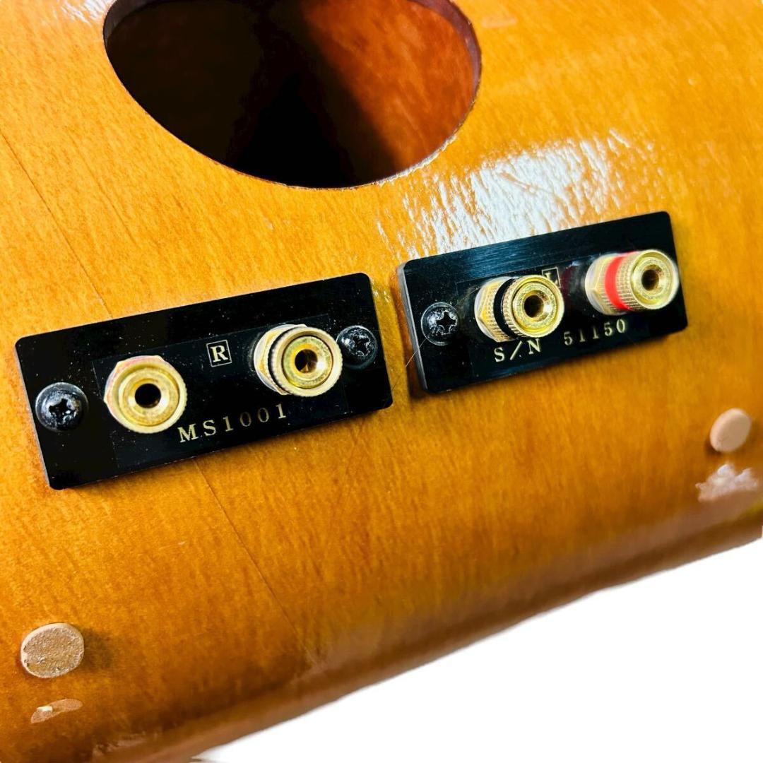 波動スピーカー　MS1001-M エムズシステム