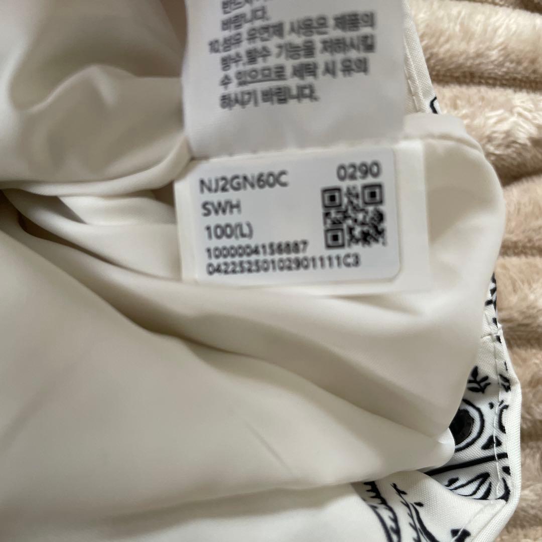 韓国限定　ノースフェイス マウンテンジャケット ゴアテックス ペイズリー　L